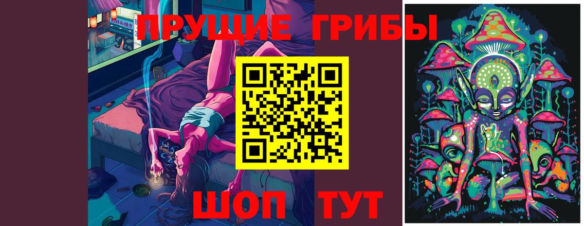 Галлюциногенные грибы мицелий Курган