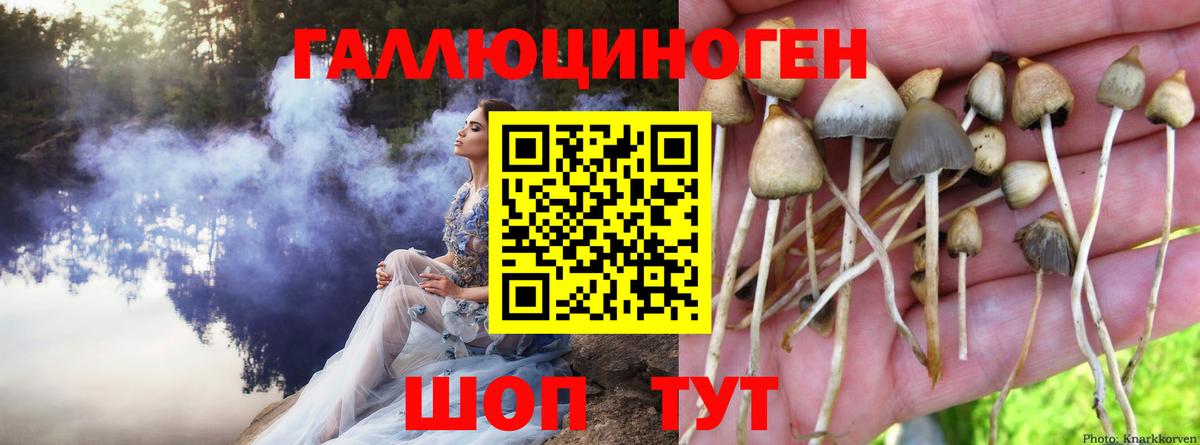 Курган  Галлюциногенные грибы мухоморы  Вход с VPN 